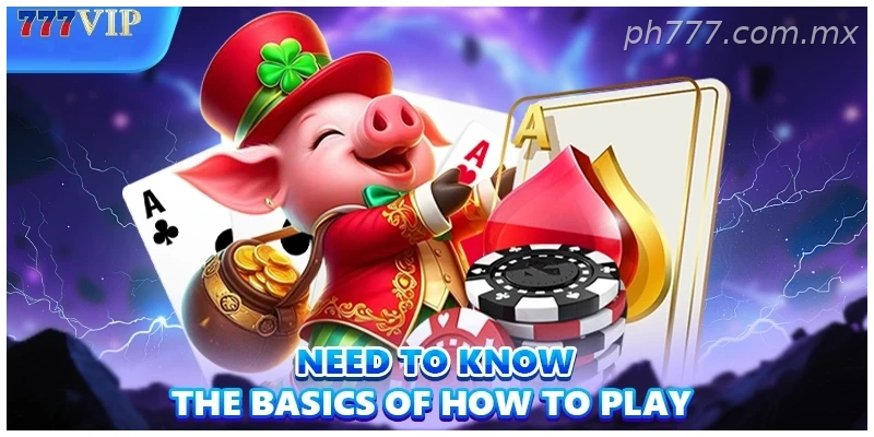 Need to know the basics of how to play
